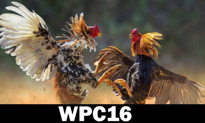 WPC16